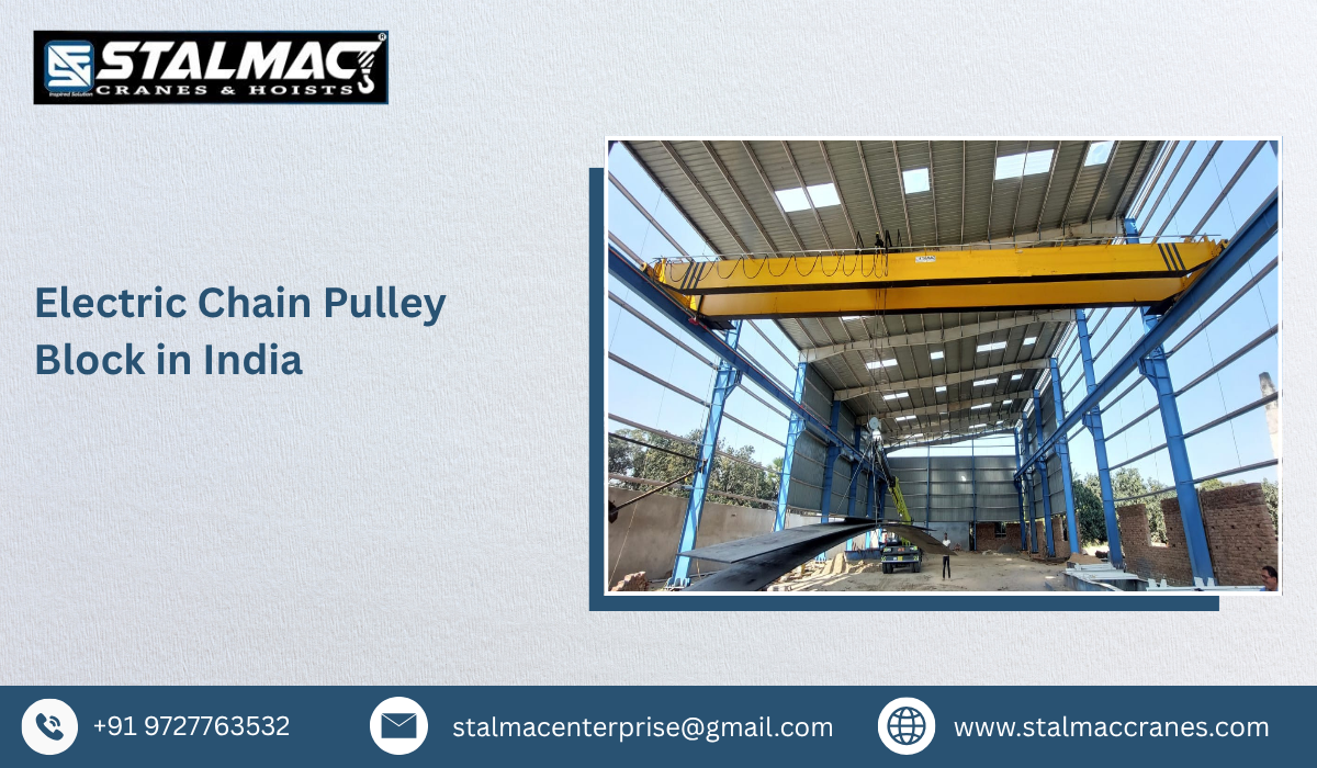 Electric Chain Pulley Block in India