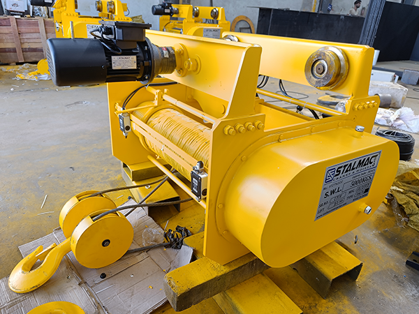 Electric Wire Rope Hoist Manufacturer in Gujarat