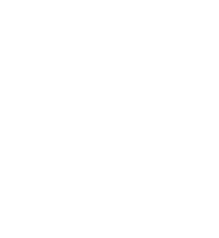 Globe Image