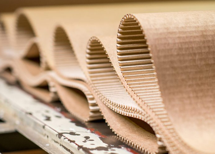 EOT Cranes for Paper & Packing Industries